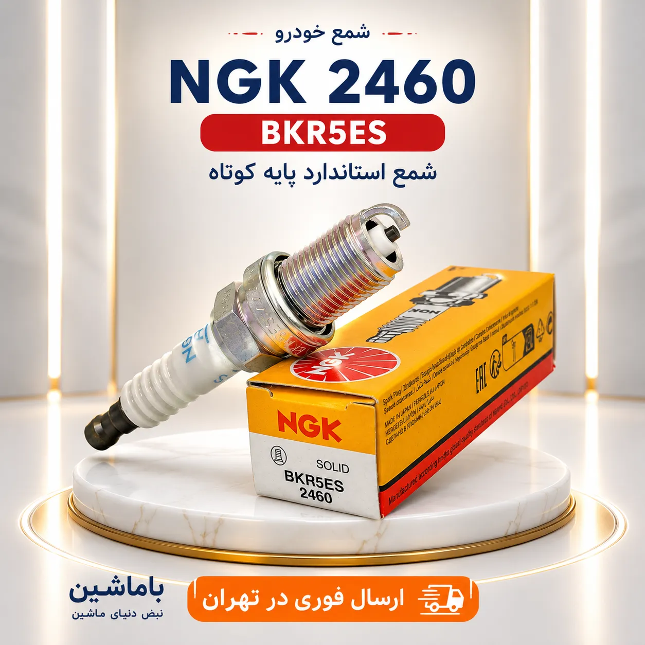 NK 2460-BKR5ES